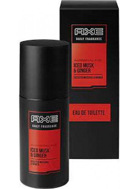 Axe DAILY FRAGANCE ADRENALINE Men edt 100ml