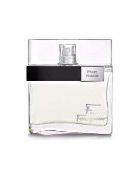 Salvatore Ferragamo F BY FERRAGAMO Men edt 100 ml